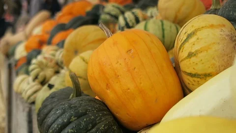Assorted pumpkins and gourds piled high in a bin at the market. 動画素材 108132584