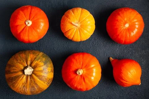 Assorted pumpkins on dark textured background - top view Stock Photos