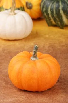 Assorted pumpkins Foto stock