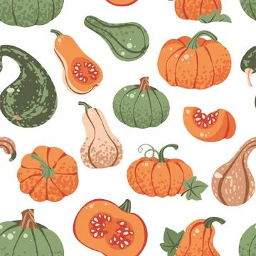 Assorted Pumpkins Seamless Pattern Flat Vector. Thanksgiving, Harvest Festival 스톡 일러스트