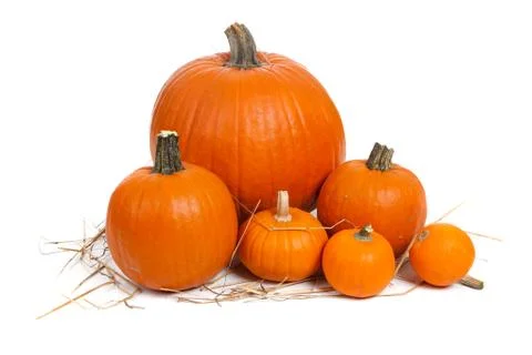 Assorted pumpkins with straw on white Stock Photos