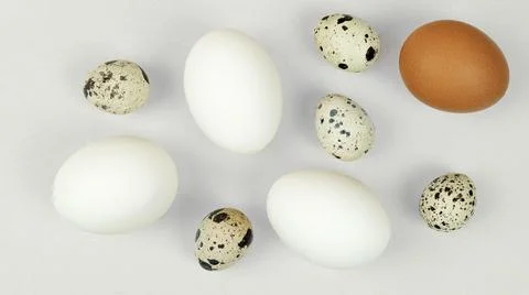 Assorted quail and chicken eggs.Small and large eggs Stock Photos