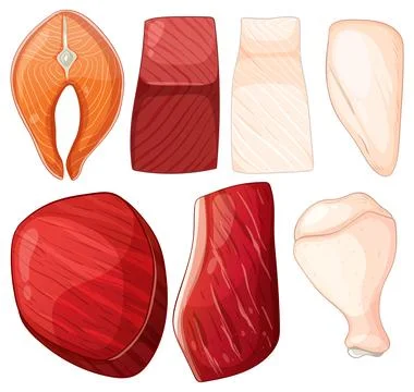 Assorted Raw Meat and Fish Cuts Vector Illustration Illustrazione stock