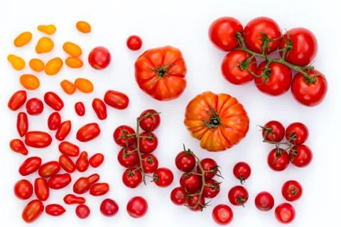 Assorted raw tomatoes on white background Stock Photos