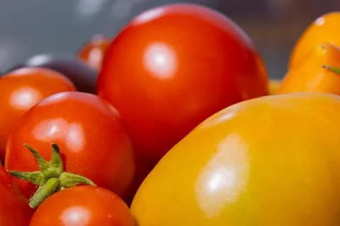 Assorted ripe tomatoes in various sizes and colors including red and yellow.. Stock Photos