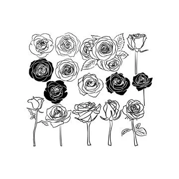 Assorted Rose Silhouettes and Line Drawings Collection. Vector icon. Stock Illustration
