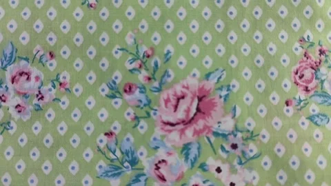 Assorted roses on a mint green fabric Stock Footage 265036063