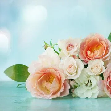 Assorted roses Foto stock