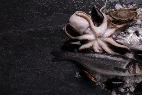 Assorted seafood Stock Photos