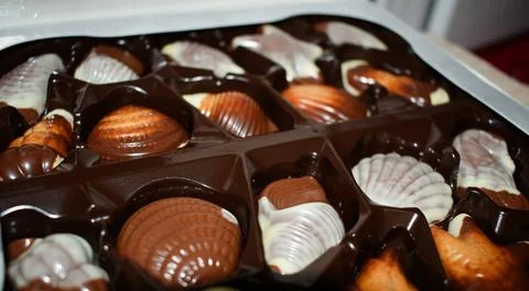 Assorted Seafood-Shaped Chocolates in a Box Stock-Fotos