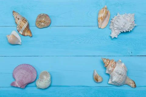 Assorted seashells on blue wooden background, flat lay, copyspace Stock Photos