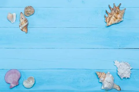 Assorted seashells on blue wooden background, flat lay, copyspace 스톡 사진