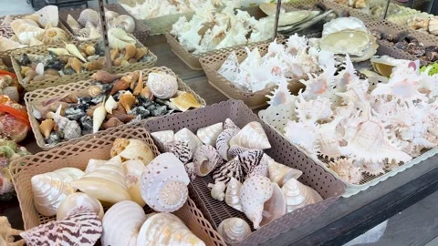 Assorted Seashells Displayed at Outdoor Market in Phuket Stock Footage 317599587