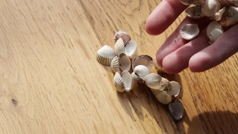 Assorted seashells scattered across a rustic wooden floor as they land from.. Stock Footage 320738304