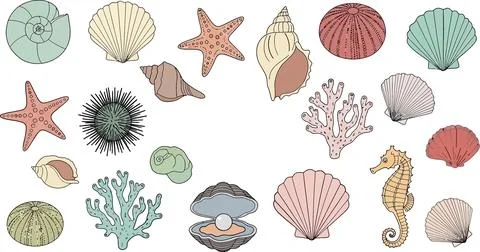 Assorted Seashells, Starfish, Sea Urchins, Coral, Seahorse and Pearl Clam C.. 스톡 일러스트