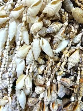 Assorted seashells strung together, forming decorative hangings. Stock Photos