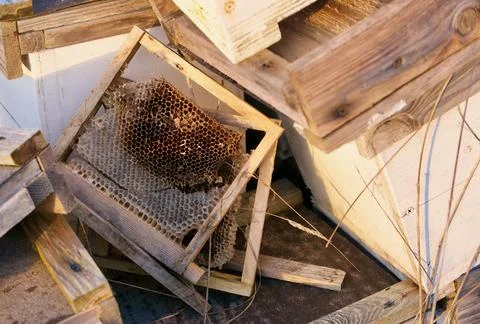 Assorted selection of beekeeping paraphernalia and some handmade wooden frames Stock Photos