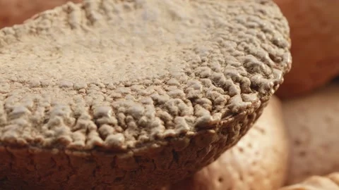 Assorted shelled nuts extreme close up stock footage Видео 310999807