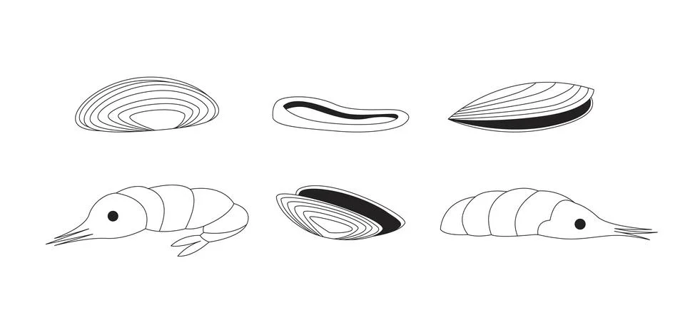 Assorted shellfish and shrimps 2D line objects set Stock Illustration
