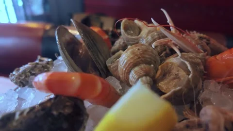 Assorted shellfish on crushed ice Vídeos de archivo 341942091