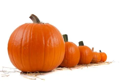 Assorted sizes of pumpkins on hay on white Stock Photos