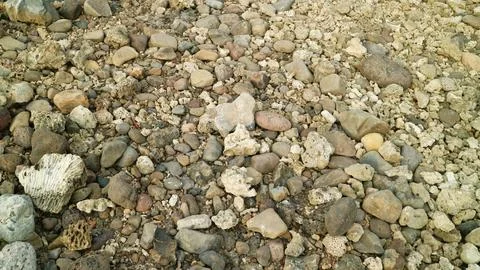  assorted small rocks and pebbles on a gravel surface  Stock Photos