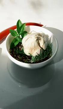 Assorted spicy ingredients featuring red chili pepper and mixed peppercorns. Stock Photos