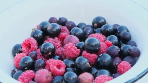 Assorted summer berries on white background, close-up. Stock Footage 219731982