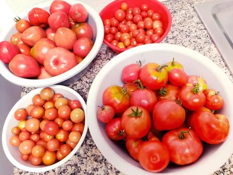 Assorted tomatoes Stock Photos