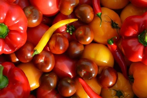 Assorted tomatoes, red bell peppers and chili peppers Stock Photos
