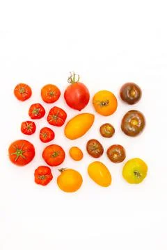 Assorted tomatoes on a white background . Tomatoes copyspace . Homemade Stock Photos
