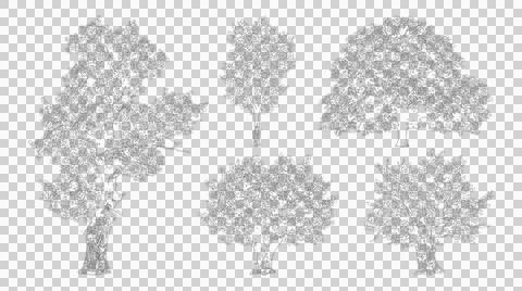 Assorted tree species in elevation view isolated on transparent background .. Stock Illustration