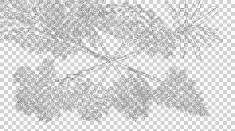 Assorted trees in plan view for architectural site landscape mapping Stock Illustration