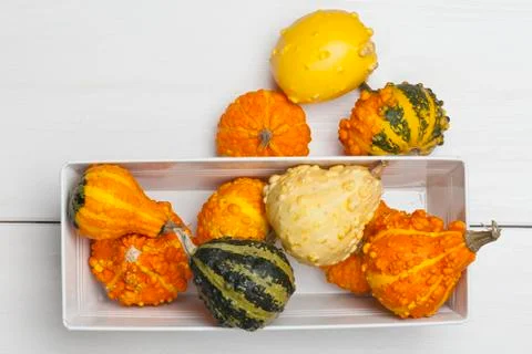 Assorted varieties of ornamental squash Stock Photos