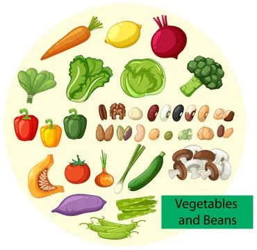 Assorted Vegetables and Beans Vector Illustration Stock Illustration