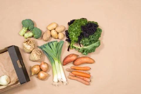 Assorted Vegetables and a Cardboard Box with Copy Space Stock Photos
