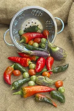 Assorted vegetables and colander on burlap. Stock Photos