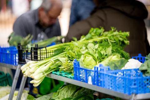 Assorted vegetables arranged in plastic crates at market Stock Photos