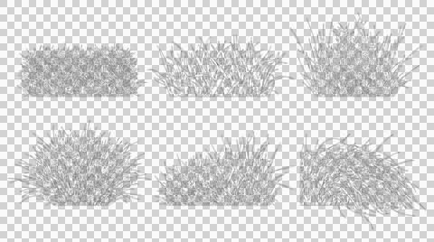 Assorted wild grass bushes in elevation view isolated on transparent Stock Illustration