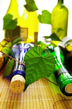 Assorted wine bottles and corks with grape vine Stock Photos