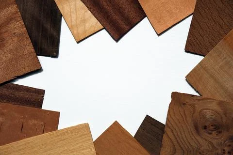 Assorted Wood Veneer Samples Border on White Background, Variety of Wooden .. 库存照片