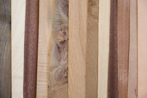 Assorted Wood Veneer Samples in Various Natural Colors and Grain Patterns, .. Stock Photos