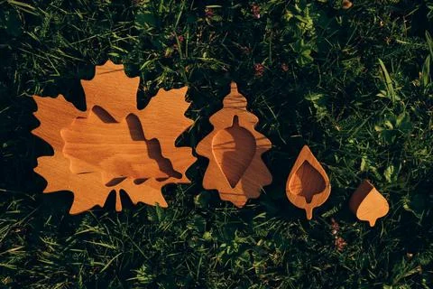 Assorted Wooden Leaf Cutouts Close Up Stock Photos
