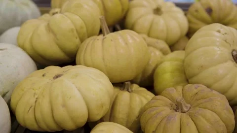 Assorted Yellow Pumpkins On Market Stall Display, Warm Autumn Harvest Scene Stock Footage 325645290