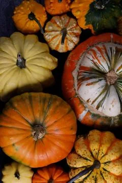 Assortiment of pumpkins background Stock Photos