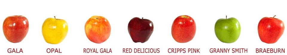 Assortment of apples Stock Photos