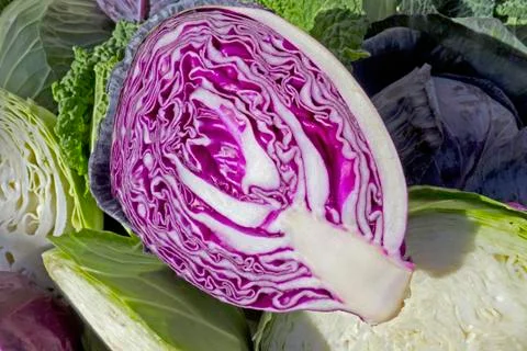 Assortment of cabbage Stock Photos