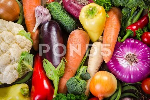 Assortment of colorful vegetables Stock Photos
