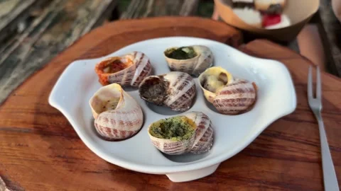 Assortment of Cooked Escargot Snails with Different Recipes on Plate Stock Footage 342513898