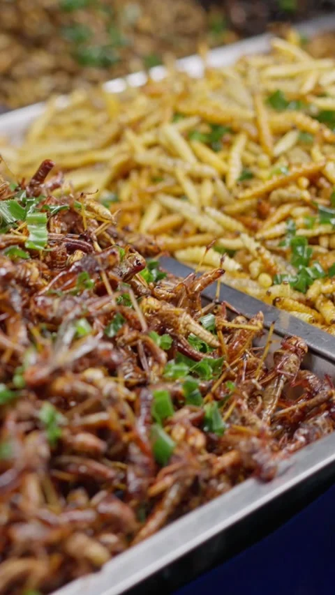 An assortment of Crispy Fried Insects and a variety of delicious Edible Snacks Stock Footage 308588809